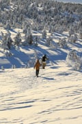 Snowshoe Explorer: Short Journey in Levi