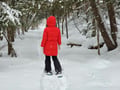 Snowshoe Explorer: Short Adventure in Levi
