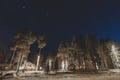 Dinner in a Glass Igloo Under Northern Lights