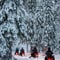 Taste of Snowmobiling for Adults
