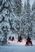 Taste of Snowmobiling for Adults