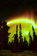 Aurora Borealis Experience Levi