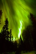Aurora Borealis Experience Levi