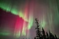 Private Group: Northern Lights Hunt 4x4 SUV with Aurora guarantee