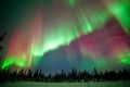 Private Group: Northern Lights Hunt 4x4 SUV with Aurora guarantee