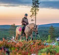 Midnight sun riding to the hill 2h