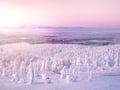 Private Snowmobile safari 1H