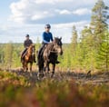 Horse ride to the hill