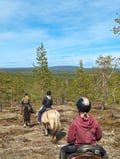Horse ride to the hill