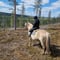 Horse ride to the hill