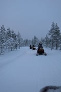 Husky Ride, Reindeer Ride and Snowmobiling Day Experience