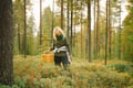 Lapland Wild Berry & Mushroom Foraging - Forest Tasting