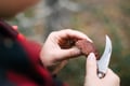 Lapland Wild Berry & Mushroom Foraging - Forest Tasting