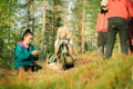 Lapland Wild Berry & Mushroom Foraging - Forest Tasting