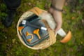 Lapland Wild Berry & Mushroom Foraging - Forest Tasting