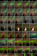 Rovaniemi: Family Aurora Evening Tour – Easy & Affordable Northern Lights Experience
