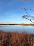 Discover Kittilä & Levi – A Scenic Tour with a Local Guide