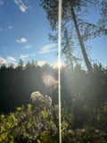 Discover Kittilä & Levi – A Scenic Tour with a Local Guide