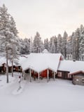 Rovaniemi: Ranua Wildlife Park Day Trip – Self-Guided Arctic Adventure