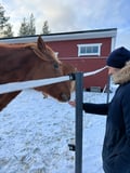 Levi Experience: Local Life in a Day