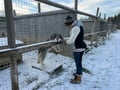 Levi Experience: Local Life in a Day