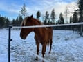 Levi Experience: Local Life in a Day
