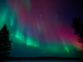 Aurora Hunting, Snowmobile Safari 3h, Levi