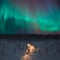 Aurora Hunting, Snowmobile Safari 3h, Levi