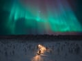 Begin Your Arctic Escape