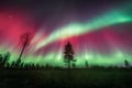 Private Northern Lights photography tour