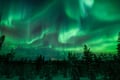 Private Northern Lights photography tour