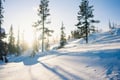 Snowshoe adventure in the Wilderness in Levi