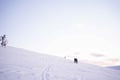 Snowshoe adventure in the Wilderness in Levi
