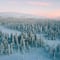 Snowshoe adventure in the Wilderness in Levi