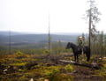 Horse ride to the Haukivaara (ADVANCED ONLY)
