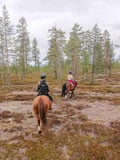 Horse ride to the Haukivaara (ADVANCED ONLY)