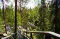 Stunning Auttiköngäs Nature Trail