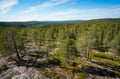 Beautiful summer sceneries of Finnish Lapland