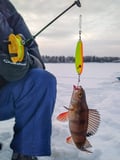 Ice Fishing Experience