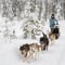Private Husky Adventure with Self-Driven 6-10km Safari