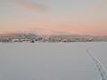 Exploring The Wilderness With Forest Skis