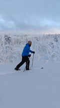 Exploring The Wilderness With Forest Skis