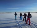 Exploring The Wilderness With Forest Skis