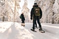 Snowshoeing in the Arctic Wilderness - Rovaniemi