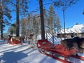 Rovaniemi Must-Do: Santa Village, Husky & Reindeer Farm Experience