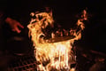 Local Reindeer farm visit with 2 km sleigh ride
