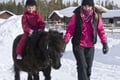 Pony ride