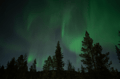 Northern Lights & Reindeer Experience