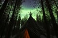 Northern Lights & Reindeer Experience