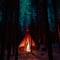Northern Lights & Reindeer Experience